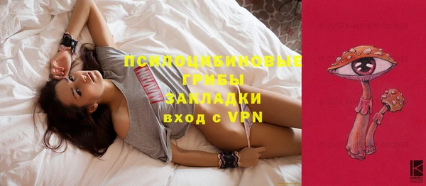 PSILOCYBIN Волосово