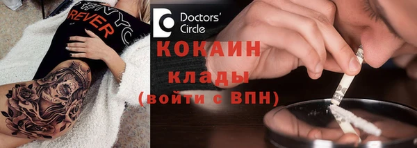 PSILOCYBIN Волосово