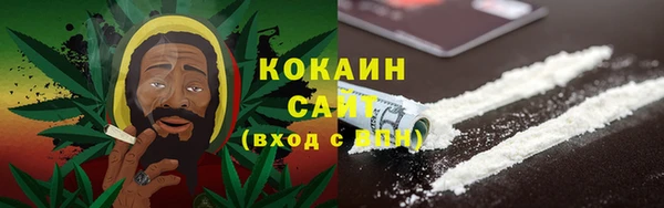 PSILOCYBIN Волосово