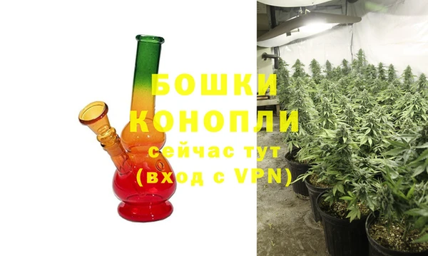 PSILOCYBIN Волосово