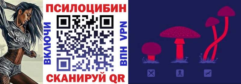 Псилоцибиновые грибы Cubensis  ссылка на мегу tor  Иваново  купить наркоту 